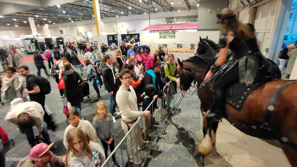 Die Show nach der Show